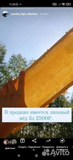 Мёд липовый