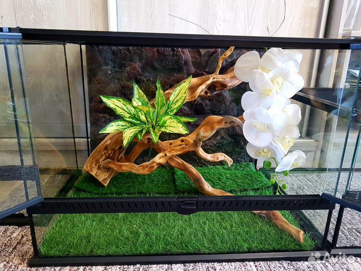 Террариум для рептилий