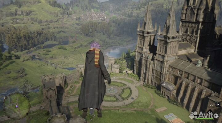 Hogwarts Legacy для Вашей PS4/5 p-1149