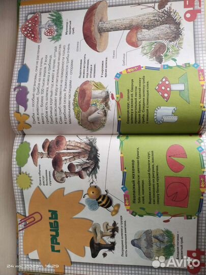 Энциклопедия для детей