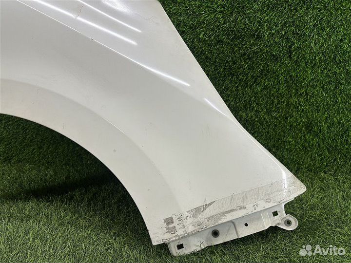 Крыло цвет-NH624P переднее правое Honda Step Wgn