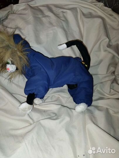 Одежда для маленьких собак новое