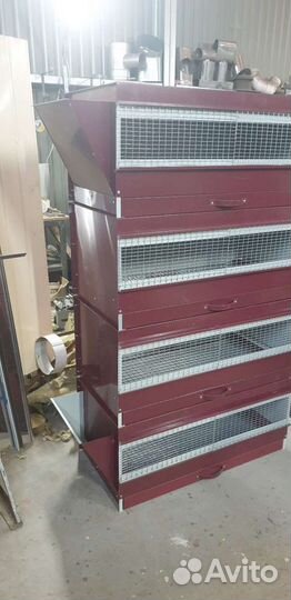 Брудер для цыплят всегда есть в наличии