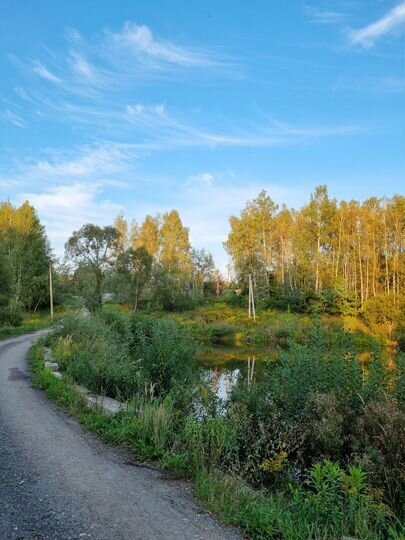 Дача 60 м² на участке 6 сот.