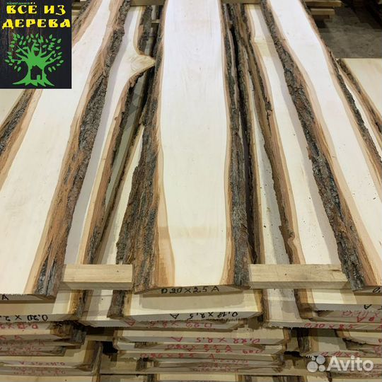 Слэб дерева липы