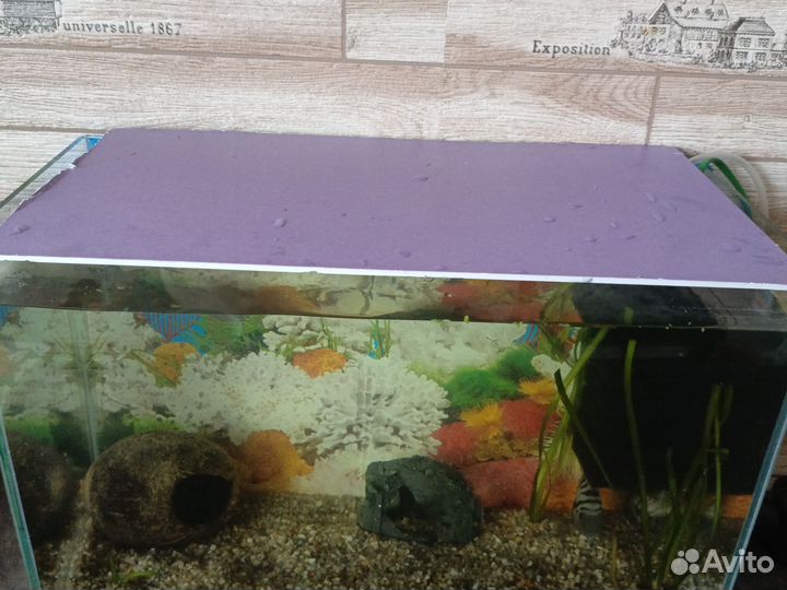 Аквариум с рыбками