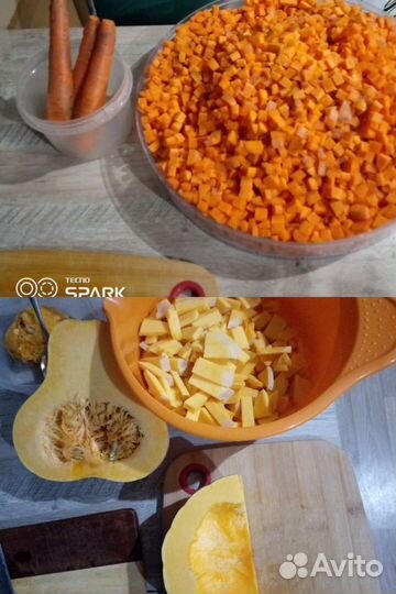 Корм для декоративных грызунов