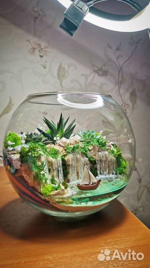 Флорариум с суккулентами и светящимся водоемом