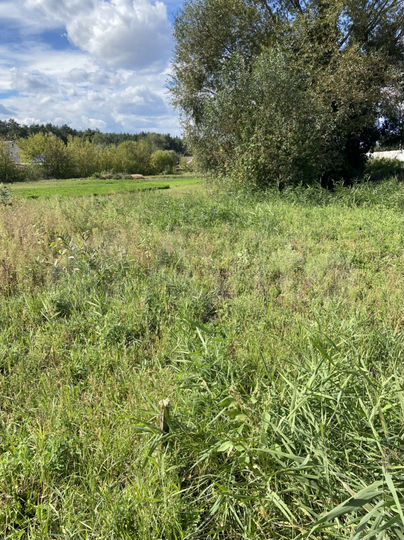 Участок 11,5 сот. (ИЖС)