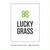 Luckygrass