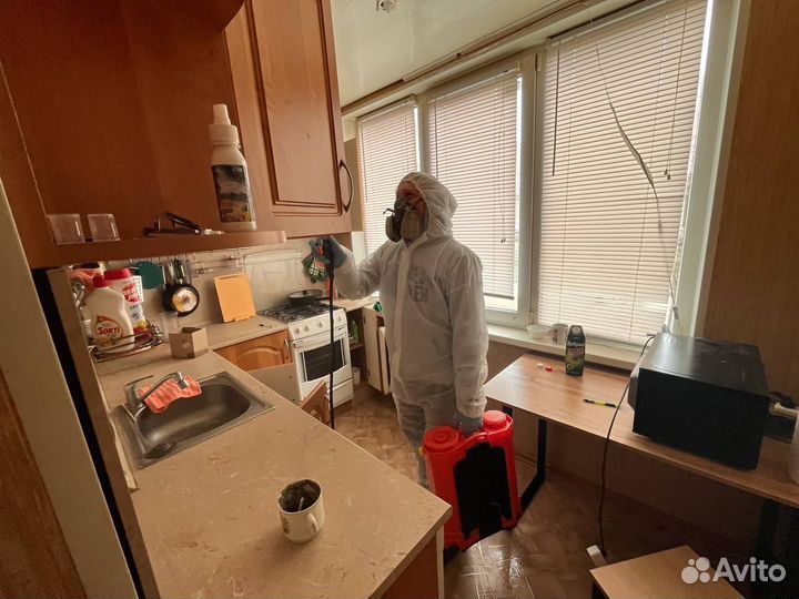 Уничтожение тараканов Дезинфекция Дезинсекция