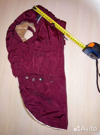 Жилет для собаки