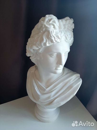 Гипсовая голова Аполлон бюст