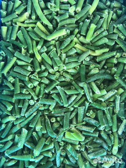 Фасоль стручковая