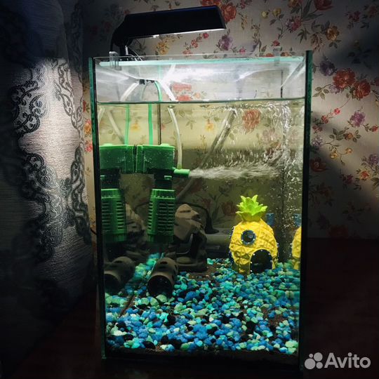 Готовый аквариум 20 литров