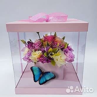 Живые бабочки и куколки