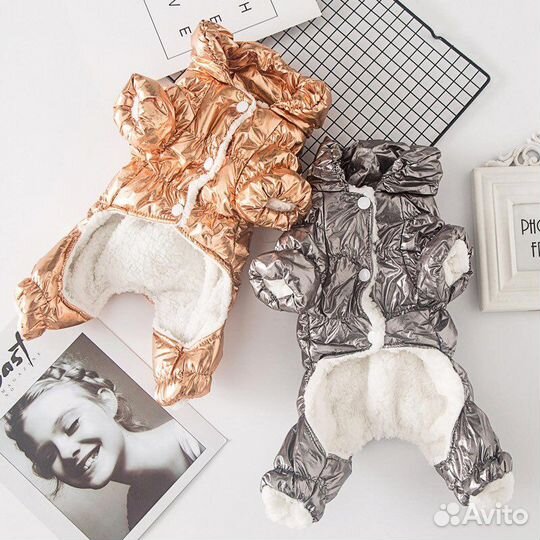 Одежда для собак