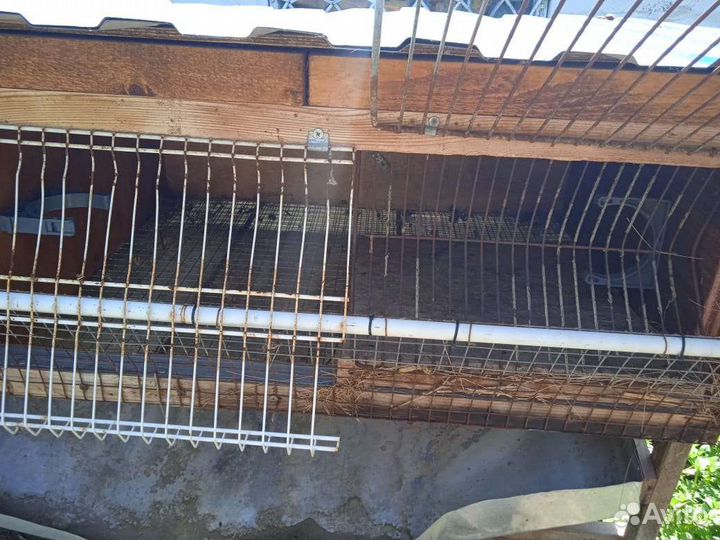Клетка для кроликов
