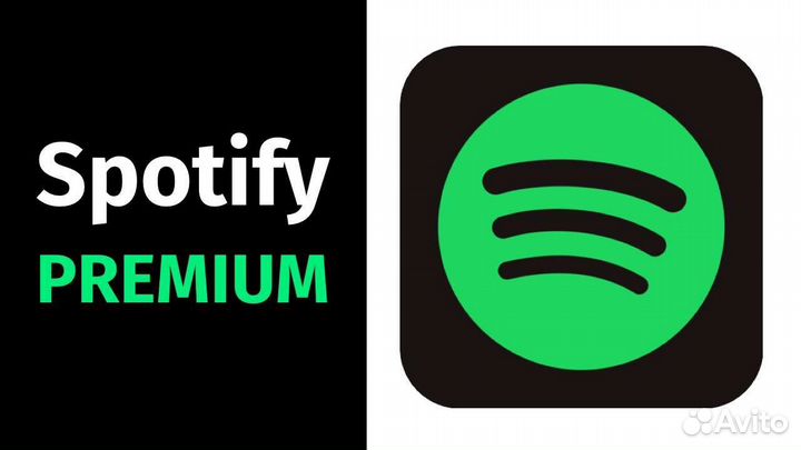 Spotify premium подписка на 1 месяц