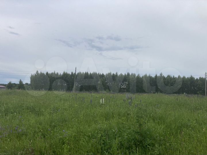 Участок 3 га (СНТ, ДНП)