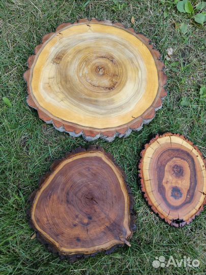 Спилы дерева