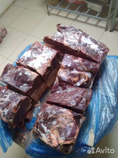 Корм для собак