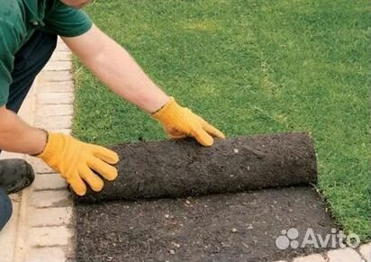 Газон от производителя