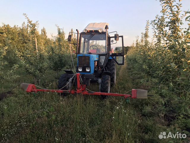 Продам/ сдам в аренду яблоневый сад 2017 года