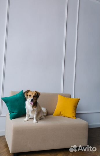 Диван в офис