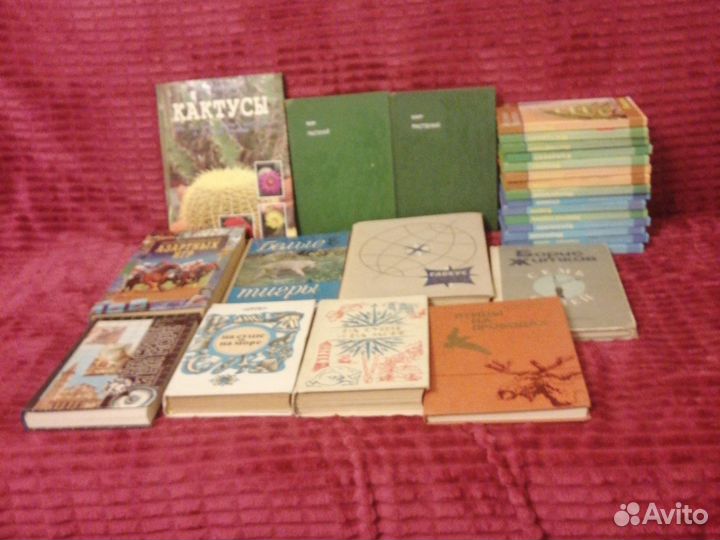 Познавательные книги