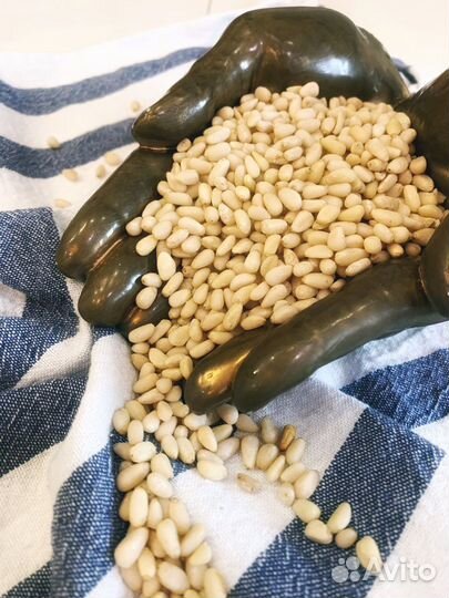 Кедровый орех (Горный Алтай )