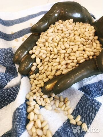 Кедровый орех (Горный Алтай )