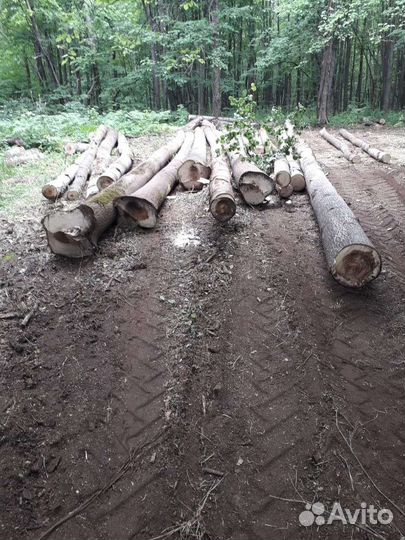 Продаётся кругляк осина