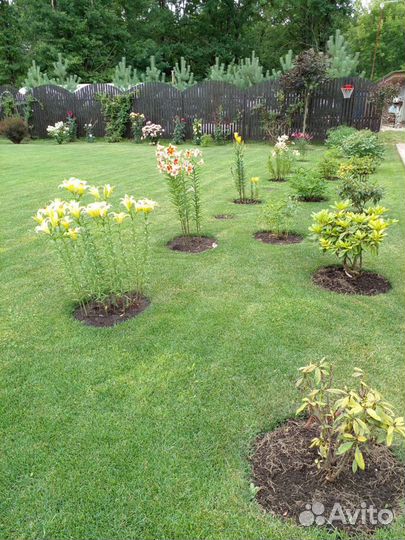 Садовник, помощник по хозяйству