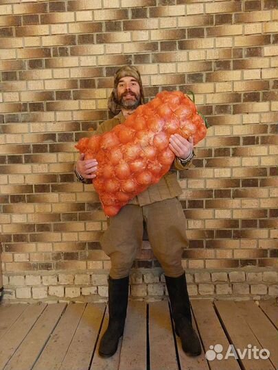 Лук репчатый продажа с доставкой