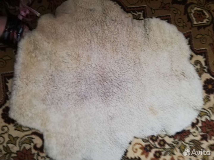 Шкура овчина