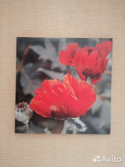 Картина на холсте 