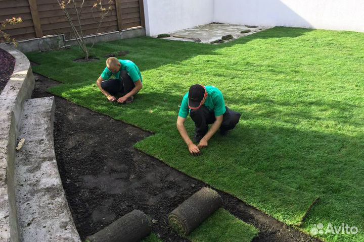 Рулонный газон, укладка рулонного газона