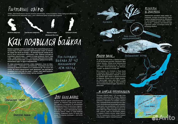 Книга-путешествие 