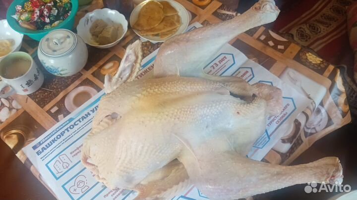 Мясо индюка