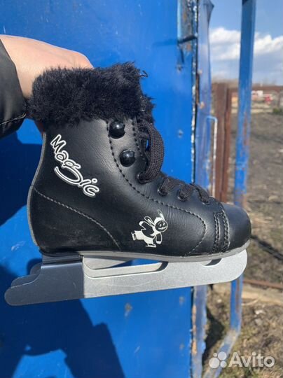 Коньки двухполозые