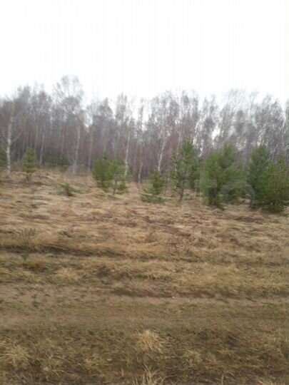 Участок 10 га (СНТ, ДНП)