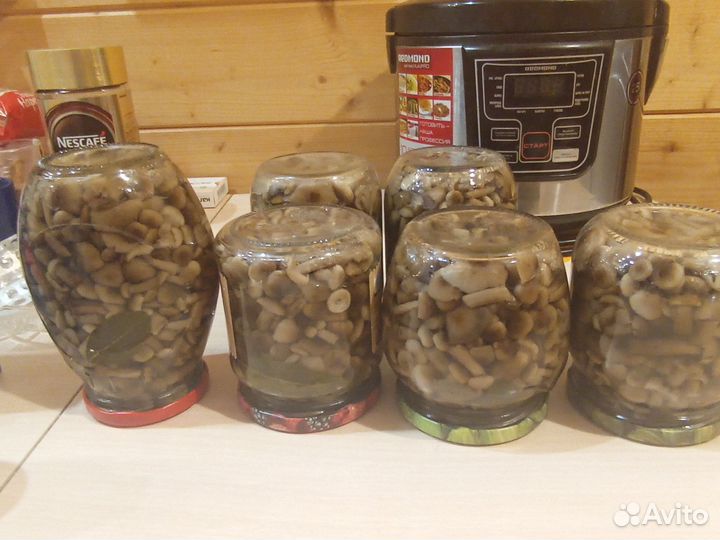 Грибы маринованные