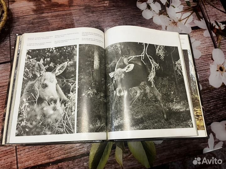 Книга