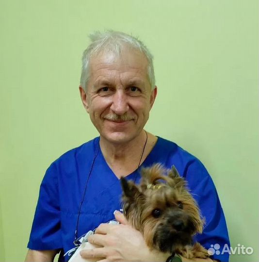 Скорая ветеринарная помощь. Ветеринарный врач