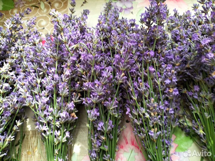 Букет лаванды