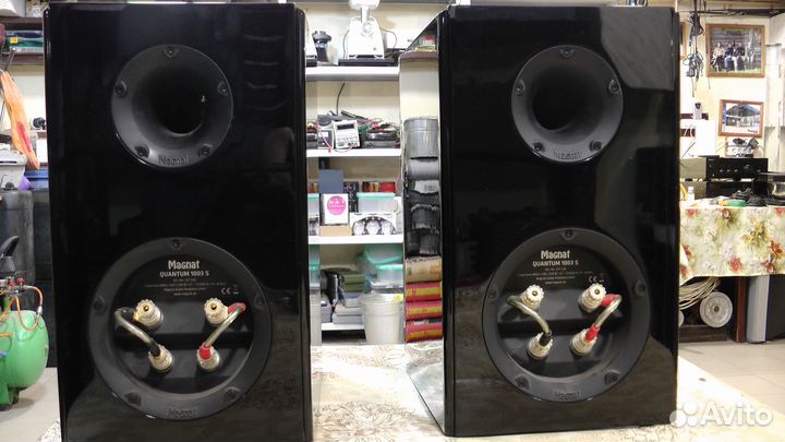Magnat quantum 1003s