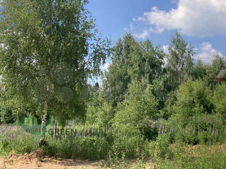 Участок 34 сот. (ИЖС)