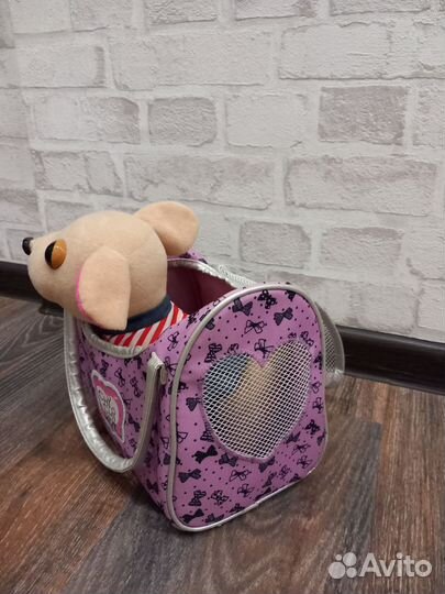 Собака чичилав