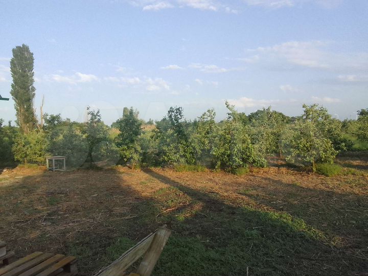 Дом 64 м² на участке 51 сот.